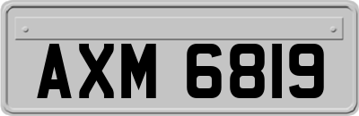 AXM6819
