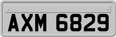AXM6829