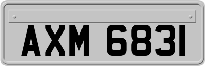 AXM6831