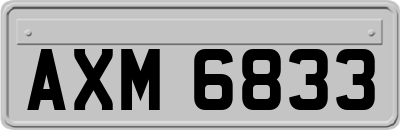 AXM6833