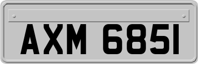 AXM6851