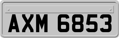 AXM6853