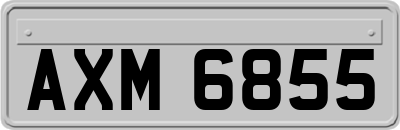 AXM6855