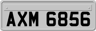 AXM6856