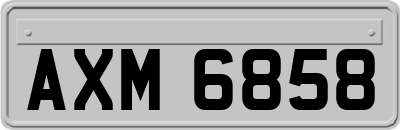 AXM6858