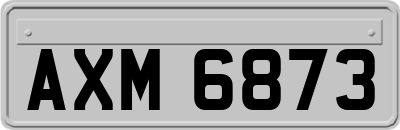 AXM6873