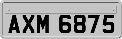 AXM6875