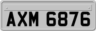AXM6876