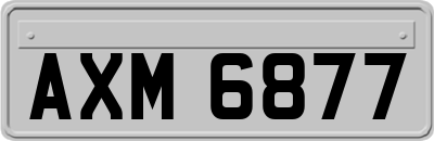 AXM6877