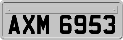 AXM6953