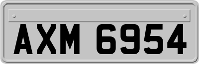 AXM6954