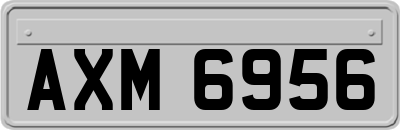 AXM6956