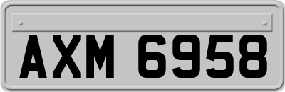 AXM6958