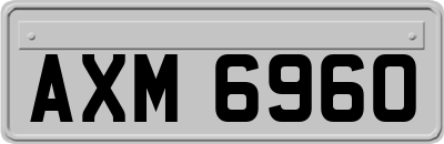 AXM6960