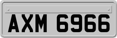 AXM6966