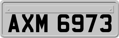 AXM6973
