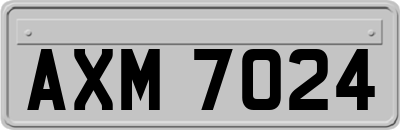 AXM7024