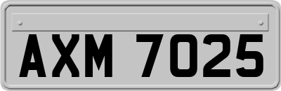 AXM7025
