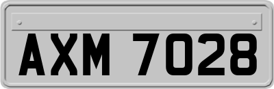 AXM7028