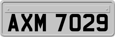 AXM7029