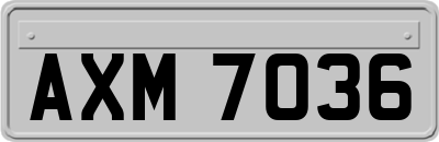 AXM7036