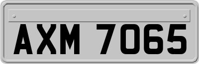 AXM7065