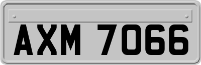 AXM7066