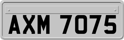 AXM7075