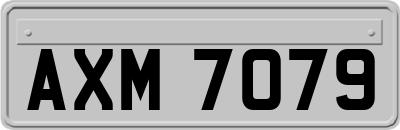 AXM7079
