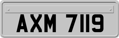 AXM7119