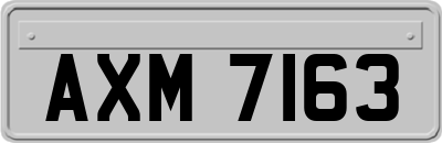 AXM7163