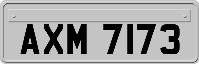 AXM7173