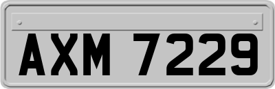 AXM7229