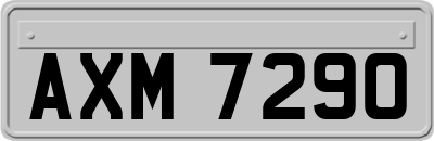 AXM7290