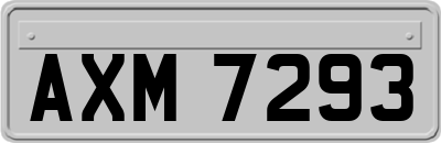 AXM7293