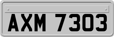 AXM7303
