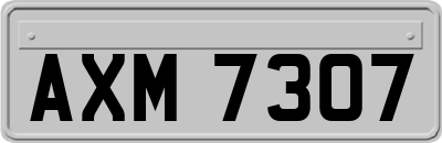 AXM7307