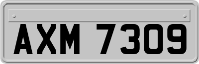 AXM7309
