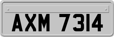 AXM7314