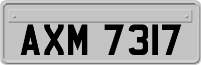 AXM7317