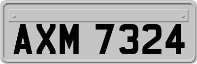 AXM7324
