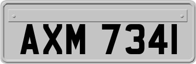 AXM7341