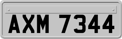 AXM7344