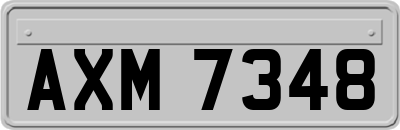 AXM7348