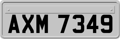 AXM7349