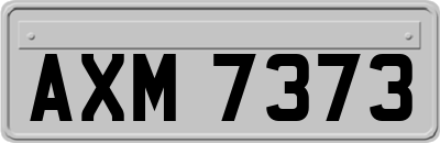 AXM7373