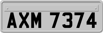 AXM7374