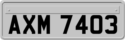AXM7403