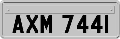 AXM7441