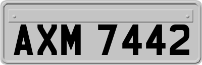 AXM7442